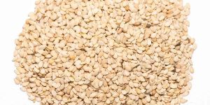 White Sesame Seeds