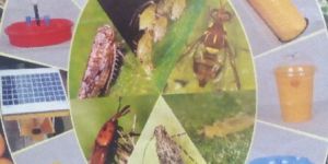 Liquid Bio Fertilizer