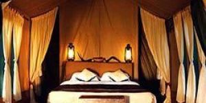 Wooden Platform Tents