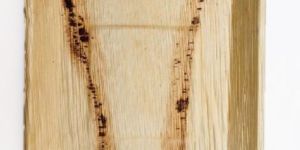 Areca Leaf Serving Trays