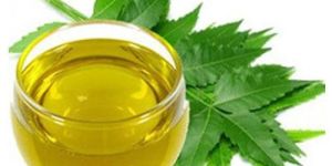 Neem Oil