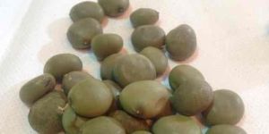 Sagargota/Katkaranj/Latakaranj