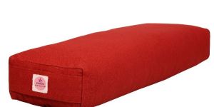 Pranayam Pillow