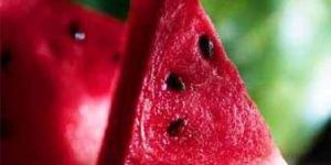 Watermelon