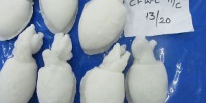 Frozen Cuttle Fish Whole Clean