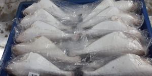 FROZEN LEATHER JACKET (H/G/TL)