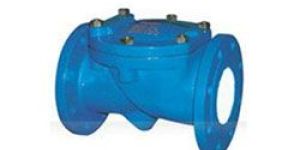 Swing Flex Check Valve