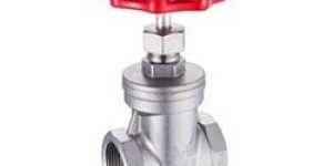 Threaded Gate Valve