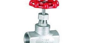 Threaded Globe Valve