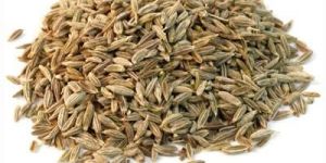 Cumin