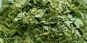 MORINGA DRY LEAFS