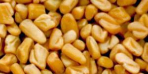 Fenugreek Seed