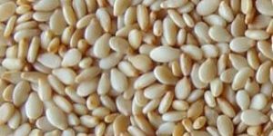 Sesame Seeds