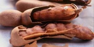 Tamarind Pods