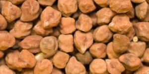 Chickpeas Pulses