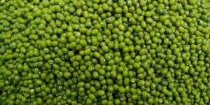 Green Moong Bean