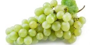Fresh Grapes