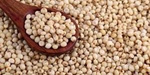 Sorghum Seeds