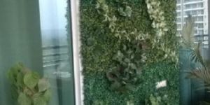 Artificial Bio Wall Services