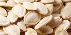 Pumpkin Seed