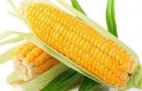Corn