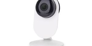 IP Cameras