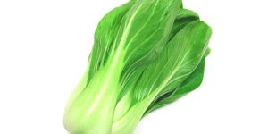 Pak Choi