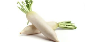 Radish