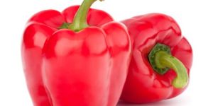 Red Capsicum