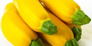 Yellow Zucchini