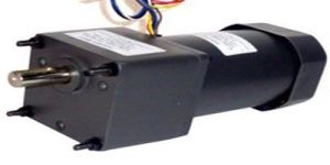 Induction Gear Motor