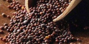 Mustard Seeds