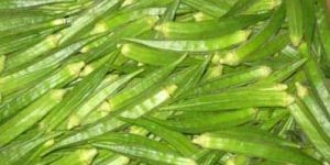 Okra
