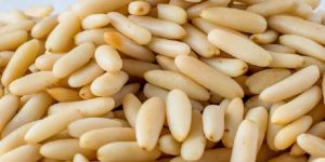 Pine Nuts