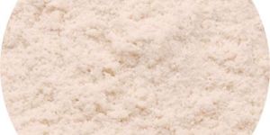 White Onion Powder