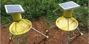 Solar Insect Light Trap