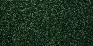 Green Forest Granite Slab