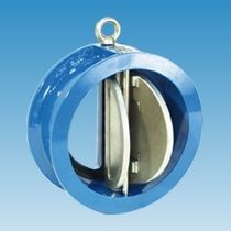 Dual Plate Check Valve
