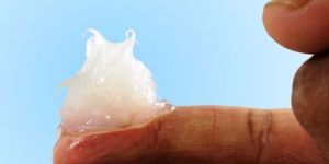 Petroleum Jelly