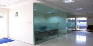 Frameless Doors