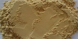 Dehydrated Ginger Powder