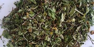 Dehydrated Mint Leaves