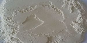 Dehydrated Potato Powder