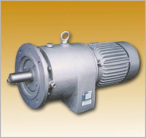 FLANGE VERTICAL GEARED MOTOR