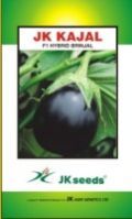 Brinjal Seed