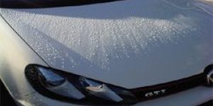 Protective Coatings Paints