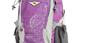 DREAMS TRUCKING PURPLE BAG