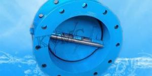 Dual Plate Check Valves