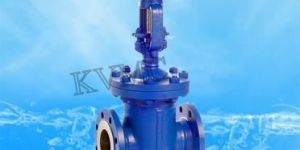 Globe Valves