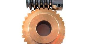 Worm Gears